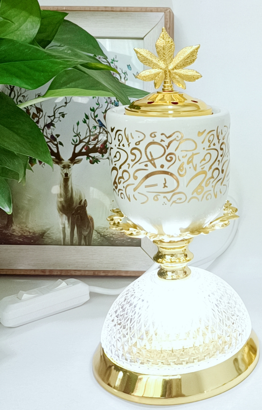Electric Burner with Lamp