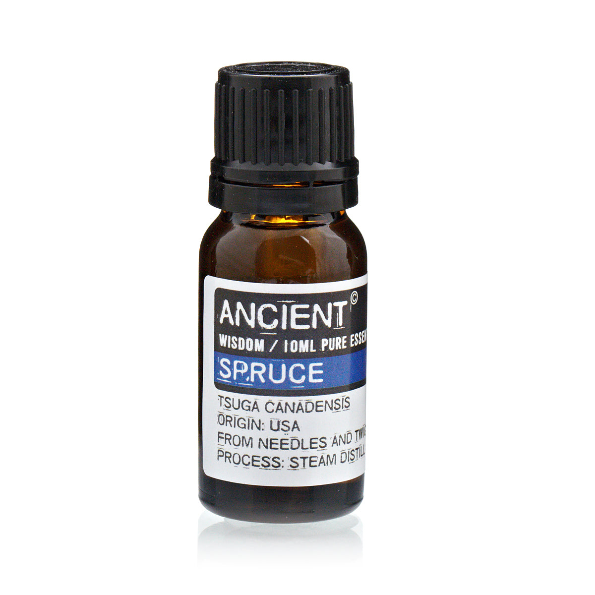 Spruce Essential Oil - 10 ml - CritchCorp Retail & Wholesale