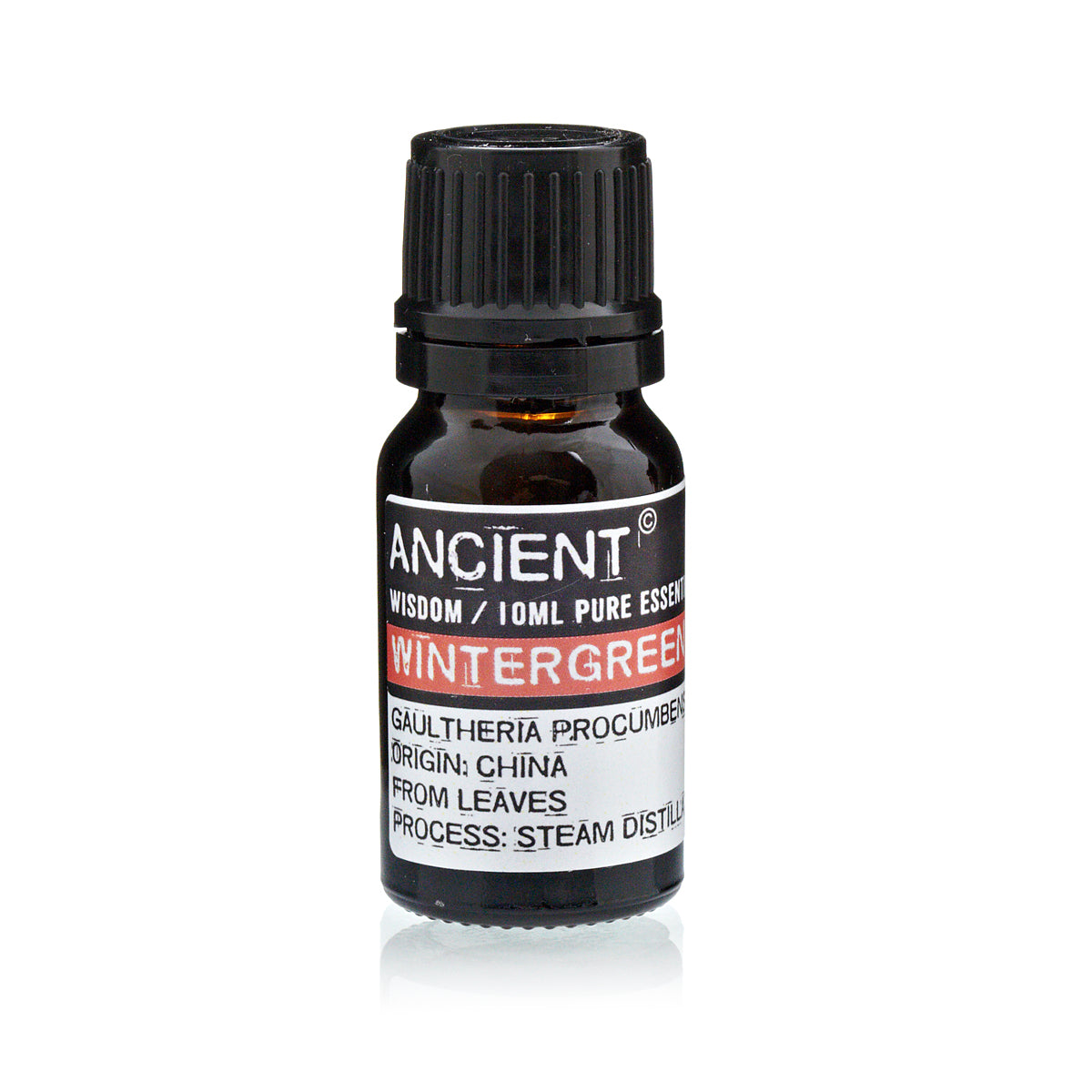 Wintergreen Essential Oil 10ml - CritchCorp Retail & Wholesale