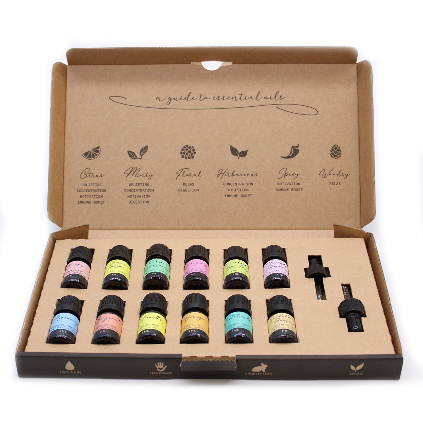 Aromatherapy Essential Oil Set - The Top 12 - CritchCorp Retail & Wholesale