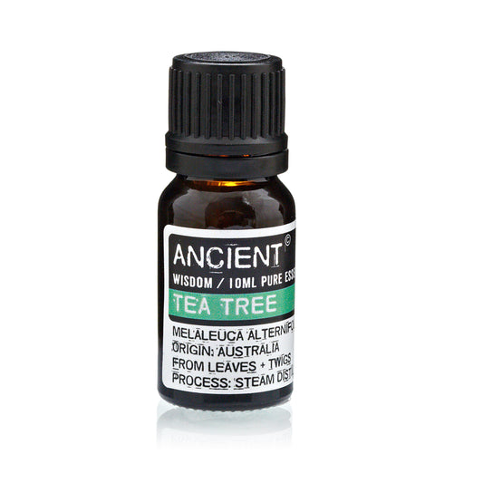 Essential Oil - Tea Tree