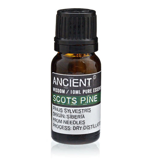 10 ml Pine Sylvestris (Scots Pine) Essential Oil - CritchCorp Retail & Wholesale